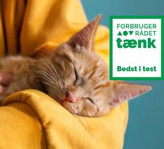 Rød kat i armene på et menneske med gul trøje